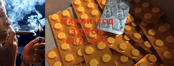 ECSTASY Алзамай
